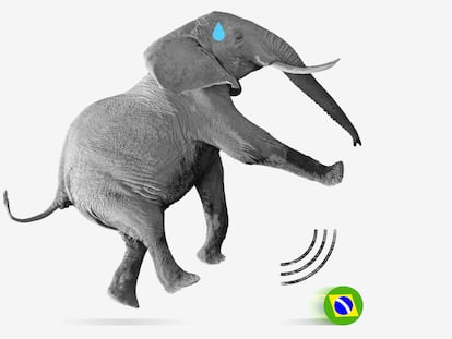 Brasil: una postura valiente frente a la arrogancia de Trump