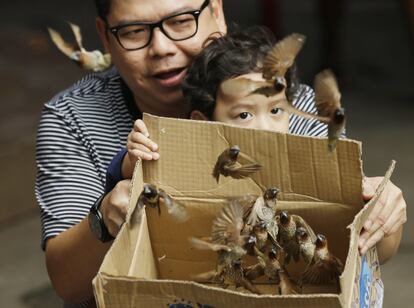 Suelta de pájaros durante las celebraciones del Año Nuevo chino en Jakarta (Indonesia).