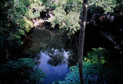 El cenote Xtogil, cerca de Piste, en el Estado de Yucatán.