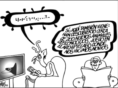 FORGES