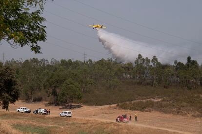 Un hidroavión descarga sobre las llamas en el incendio de Huelva.