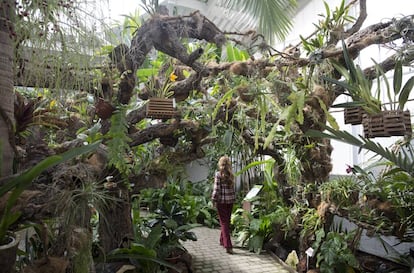 El orquidario de Estepona (Málaga).