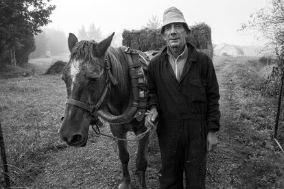 Camino del Rebollal.