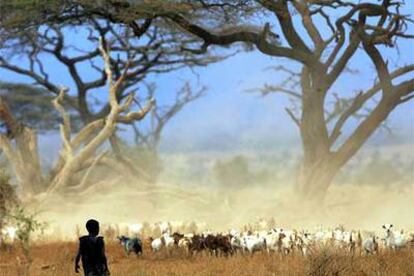 Parque Amboseli, en Kenia.