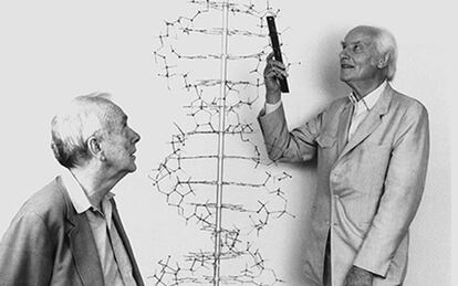 James Watson (izquierda) y Francis Crick, con un modelo de la estructura del ADN.