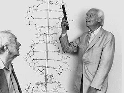 James Watson (izquierda) y Francis Crick, con un modelo de la estructura del ADN.