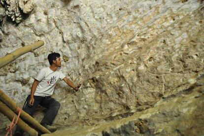 Um dos membros da equipe observa o mural encontrado em Sulawesi (Indonésia)