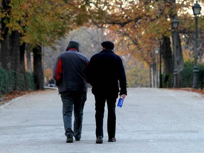 Dos hombres pasean por el parque del Retiro de Madrid.