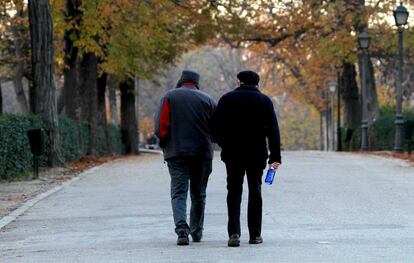 Dos hombres pasean por el parque del Retiro de Madrid.