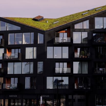 Marzo - Mayo 2024 - Reportaje sobre el incremento de espacios verdes en tejados y terrazas en Copenhague  - ©Manuel Vázquez    ----PIEFOTO----     Un tejado verde de nueva construcción en Copenhague.