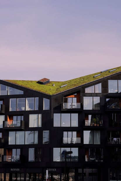 Un tejado verde de nueva construcción en Copenhague.
