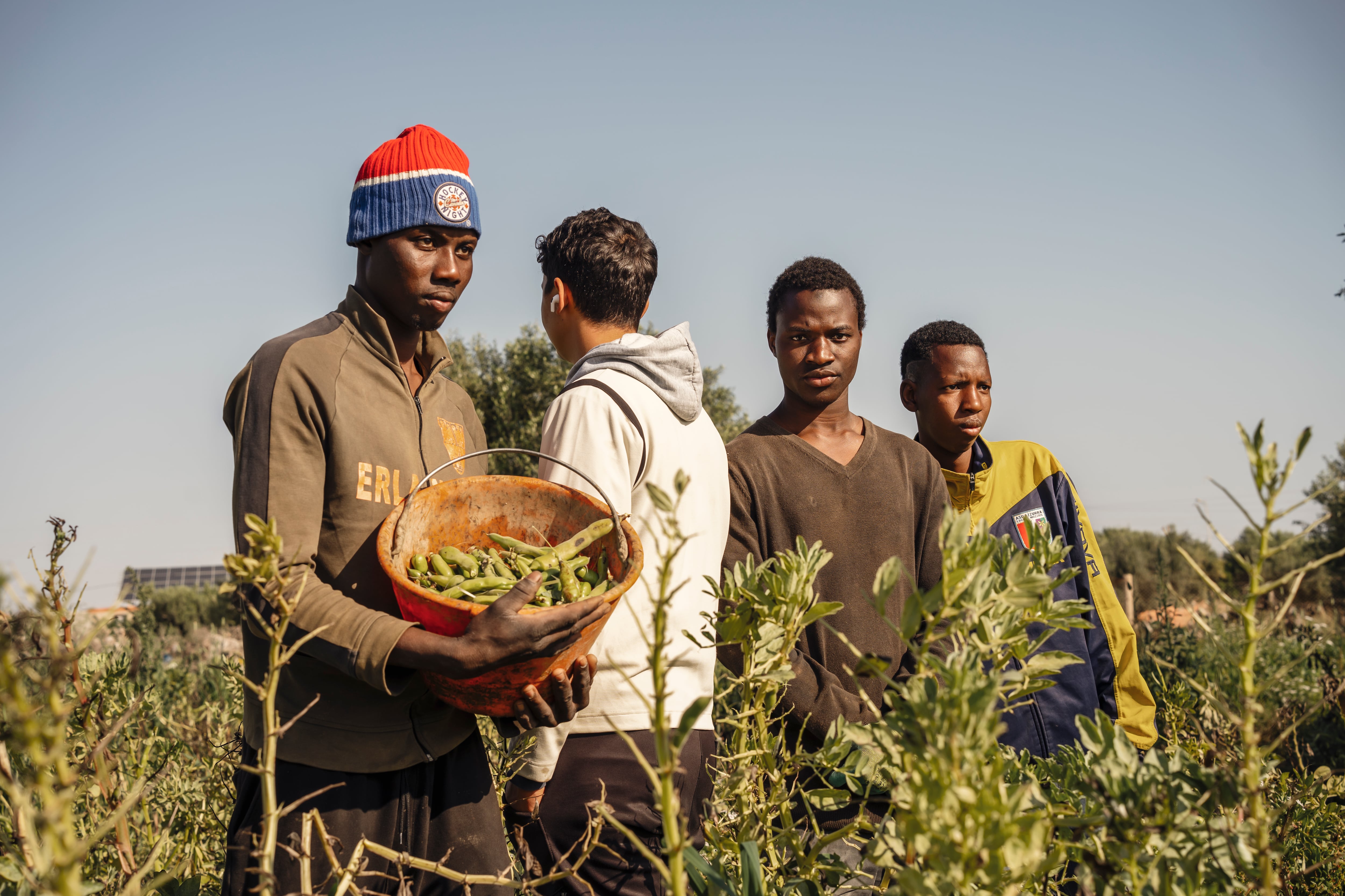 Jóvenes migrantes de África subsahariana que trabajan en el campo.
