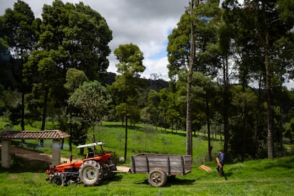 Trabajadores de la reserva recolectan madera para poder cercas ciertas zonas.