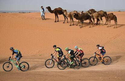 Competidores circulan con sus bicicletas muy cerca de un grupo de camellos, el 3 de mayo de 2018, en Merzouga.