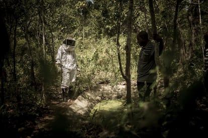 En kinyamwezi, la lengua local, Mbola significa "picadura de abeja". La región es famosa por su miel oscura.