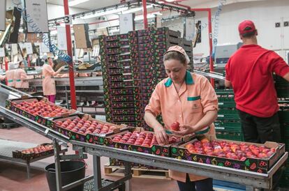 Varios empleados en la fábrica de la empresa en Sevilla.