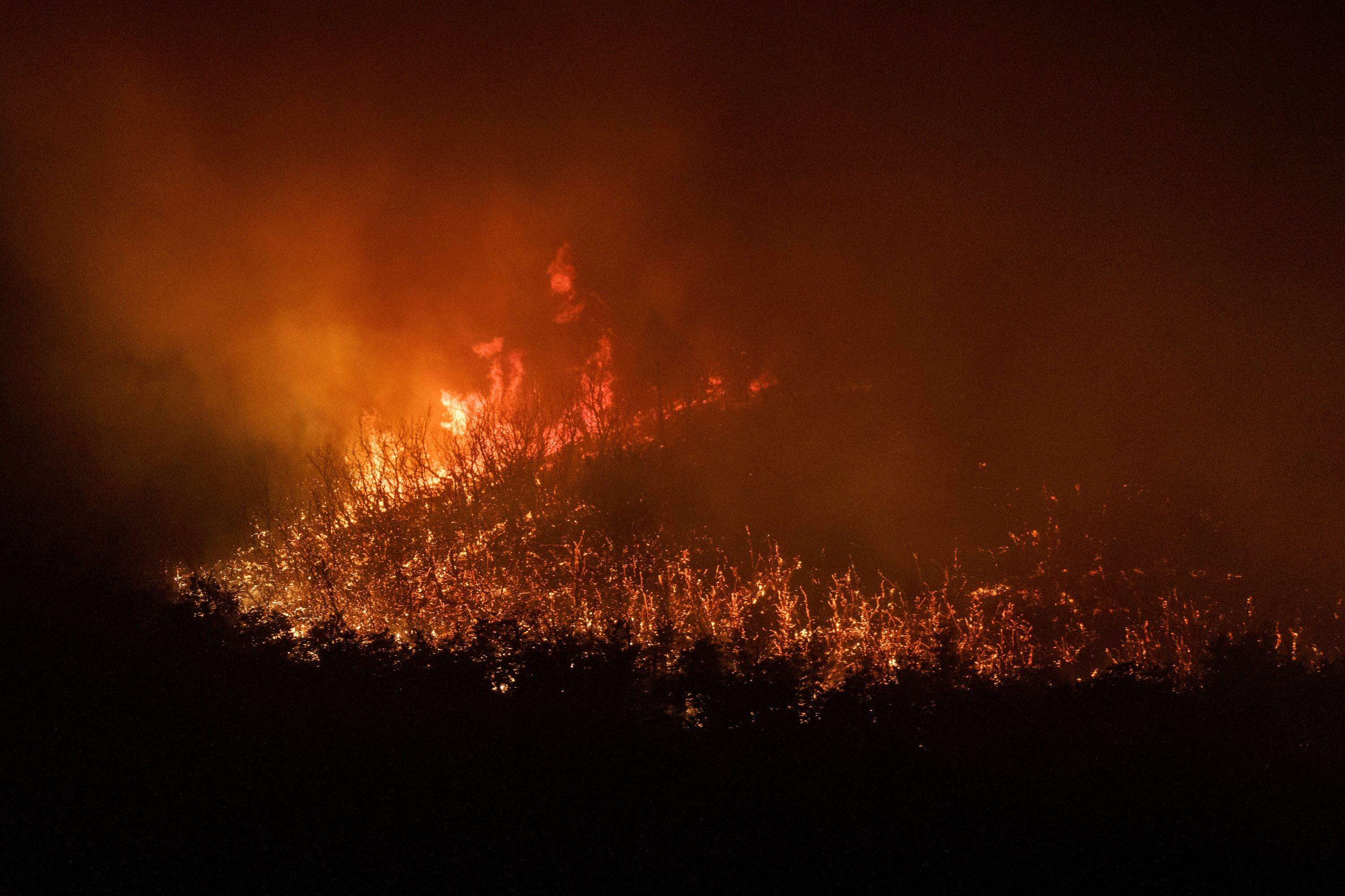 El Gobierno argentino declara organización terrorista a un grupo mapuche al que acusa de los incendios en la Patagonia