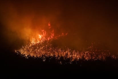 Uno de los incendios forestales en la Patagonia Argentina, el 13 de febrero en Neuquén.