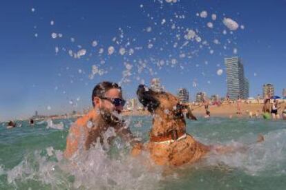 Un perro y su dueño se bañan en la playa de Llevant, en Barcelona.