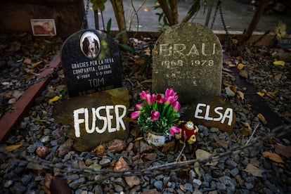 Una tumba con varios animales en el cementerio de pequeños animales de la localidad de Torrelles de Llobregat en Barcelona.