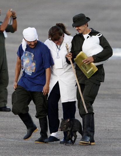 A diferencia de pasadas liberaciones, esta vez los secuestrados no han sido recibidos por sus familias en la pista aérea, sino por médicos del Ejército.