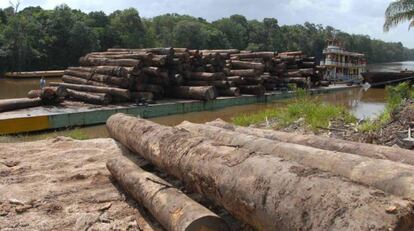 Madera procedente de la selva amazónica brasileña.