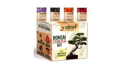 Kit para cultivar bonsáis de Valeaf