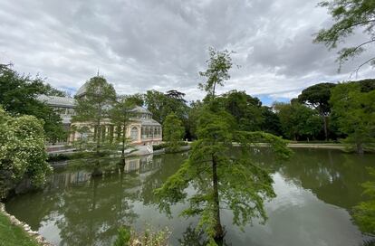 Estanque del Palacio de Cristal ubicado en los Jardines de El Buen Retiro, durante el estado de alarma.