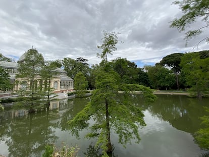 Estanque del Palacio de Cristal ubicado en los Jardines de El Buen Retiro.