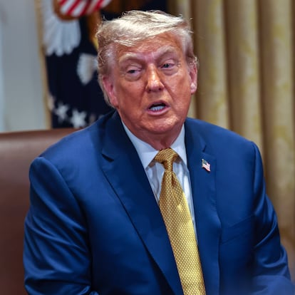 Washington (United States of America), 08/07/2025.- US President Donald J Trump participates in a cabinet meeting in the Cabinet Room of the White House in Washington, DC, USA, 08 July 2025. EFE/EPA/AARON SCHWARTZ / POOL