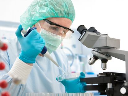 Laboratorio chileno donde se elabora la sustancia a partir del quillay.