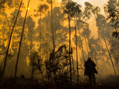 Uno de los incendios declarados en Galicia cuando se halló el cadáver.