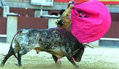 Sergio Martínez quita por faroles al tercer novillo de la tarde.