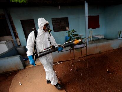 Mosquito Aedes aegypti: un funcionario del Gobierno fumiga contra el dengue en Brasilia