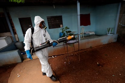 Mosquito Aedes aegypti: un funcionario del Gobierno fumiga contra el dengue en Brasilia