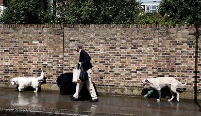 Un hombre pase junto a sus perros por Cheltenham Terrace