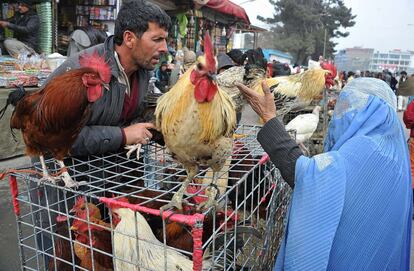 Una mujer afgana negocia con un vendedor de pollos en un mercado de Kabul.