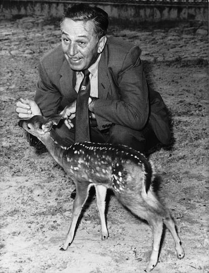 Walt Disney at the Berlin Zoo with a deer in 1958.