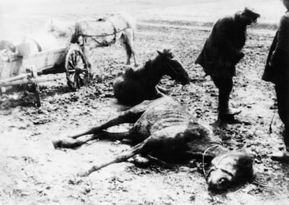 Caballos famélicos en Ucrania en 1934, consecuencia de la hambruna que devastó el territorio por la colectivización de la tierra emprendida por la URSS.
