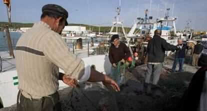 Trabajadores preparan los aparejos en el puerto de Barbate.