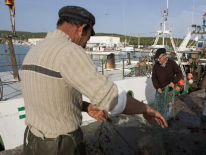 Trabajadores preparan los aparejos en el puerto de Barbate.