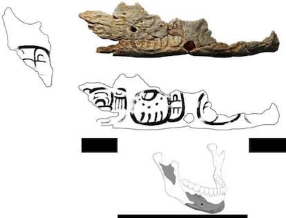 Fragmento de troféu de crânio de Pacbitun.