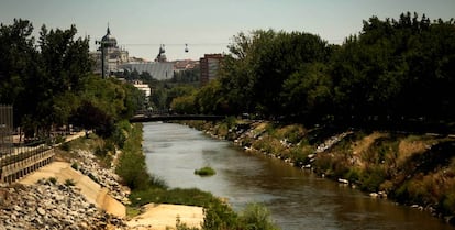 Ribera del Manzanares que va a ser renaturalizada.