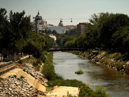 Ribera del Manzanares que va a ser renaturalizada.