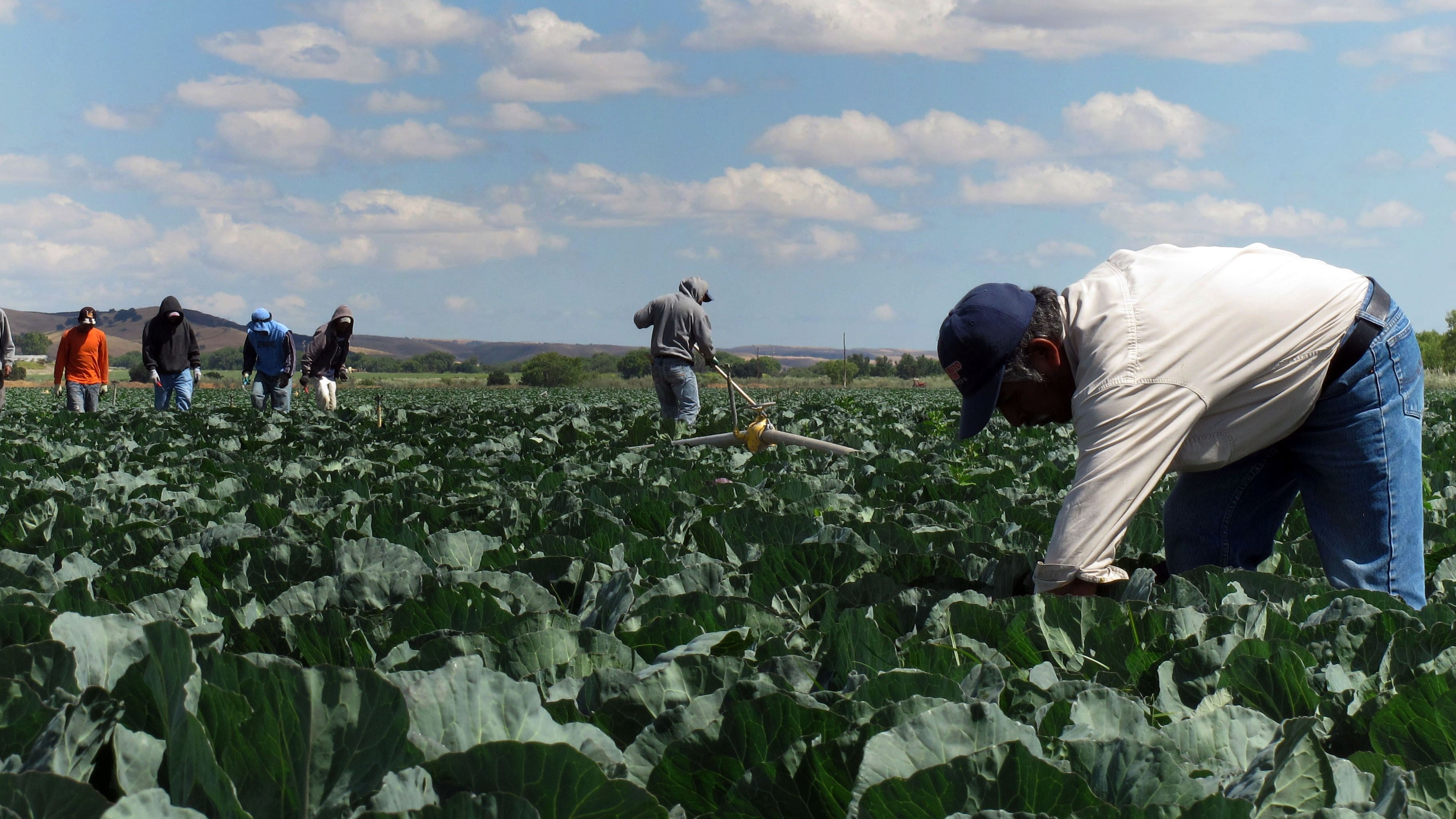Trump admite la escasez de trabajadores que genera su política migratoria y promete cambios