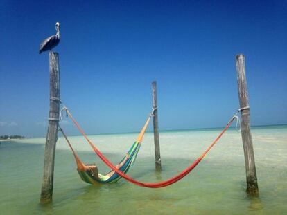 A la sombra del Pelícano