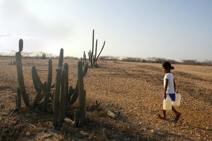 Las condiciones climatológicas adversas con la dura sequía que azota la Alta Guajira obligan a diario a ir a buscar agua al jagüey.