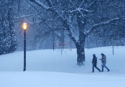 Dois homem caminham em um parque em Albany (Nova York).