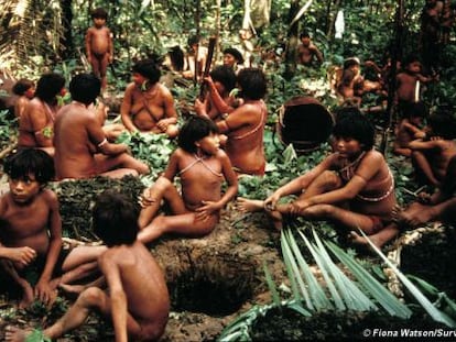 Indígenas yanomami en la selva en Demini (Brasil).