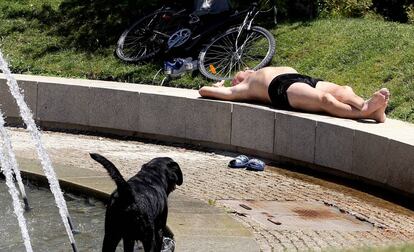 Un hombre toma el sol en un parque con su perro.